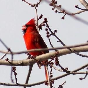 Meet your Posher, Barb
